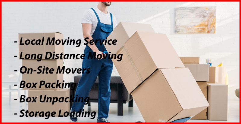 Packers And Movers in Noida Sector 2